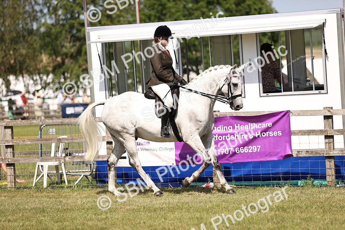 SBM_17992 - Class 81-83 - TSR Ridden Amateur of the Year - Horses