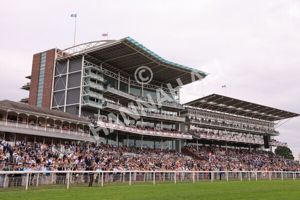 yr23072022r5-51 - Race 5 4.25pm Sky Bet UK's No1 Betting App Stakes