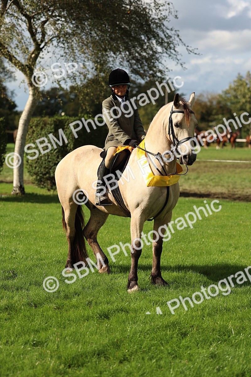 SBM_46434 - Working Hunter Pony Supreme Championship