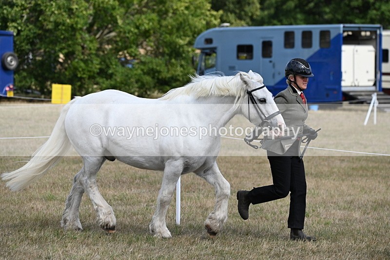 WJ6_6493 - Class 20 In-hand Cob