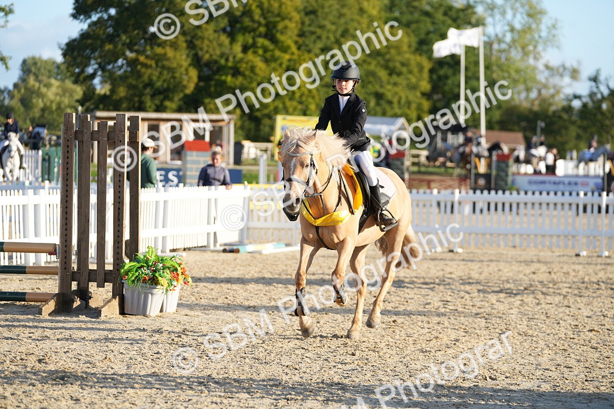 SBM_54066 - J8 - Junior Pony 65cm Championship