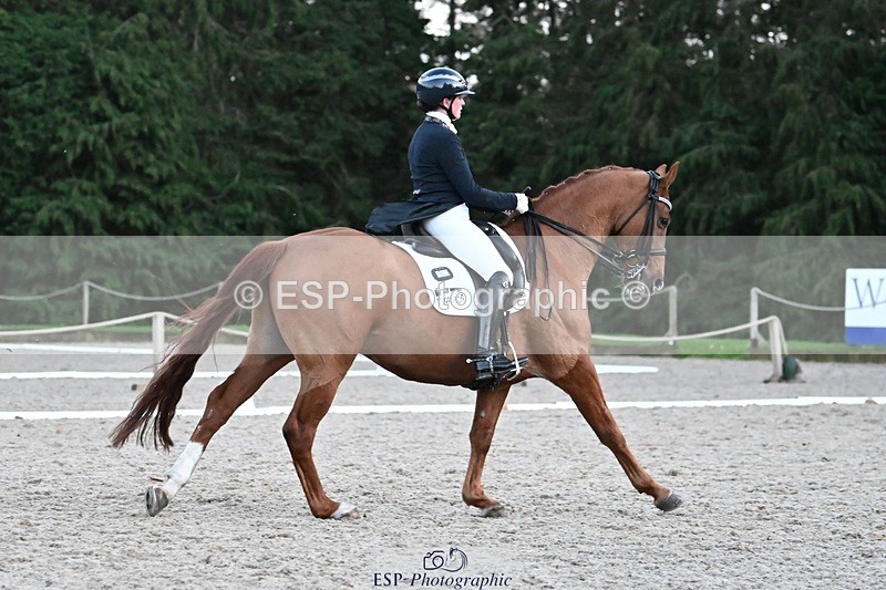 231110-163942-02713 - Cls 14 FEI Grand Prix