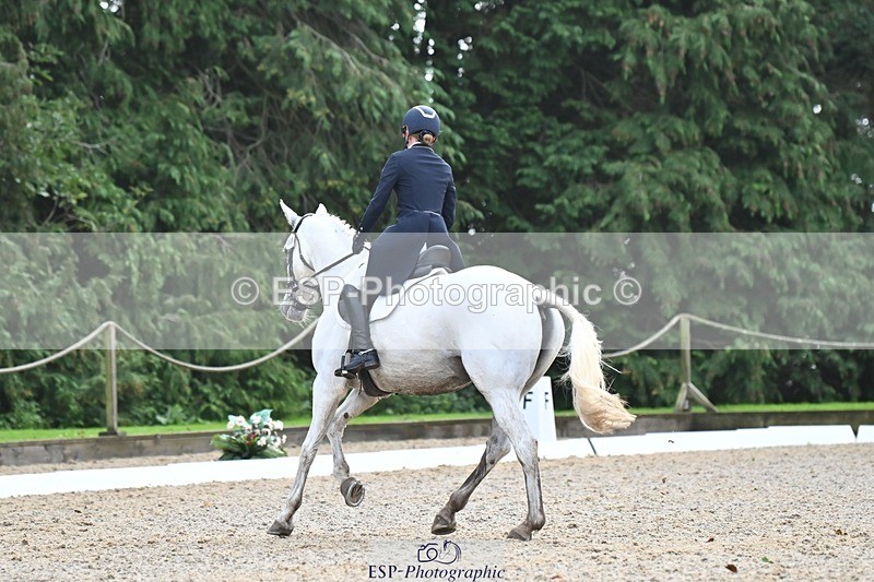 231019-123111-03122 - 114-LATINA'S.TWINKELING-Pippa.Haslam-DR