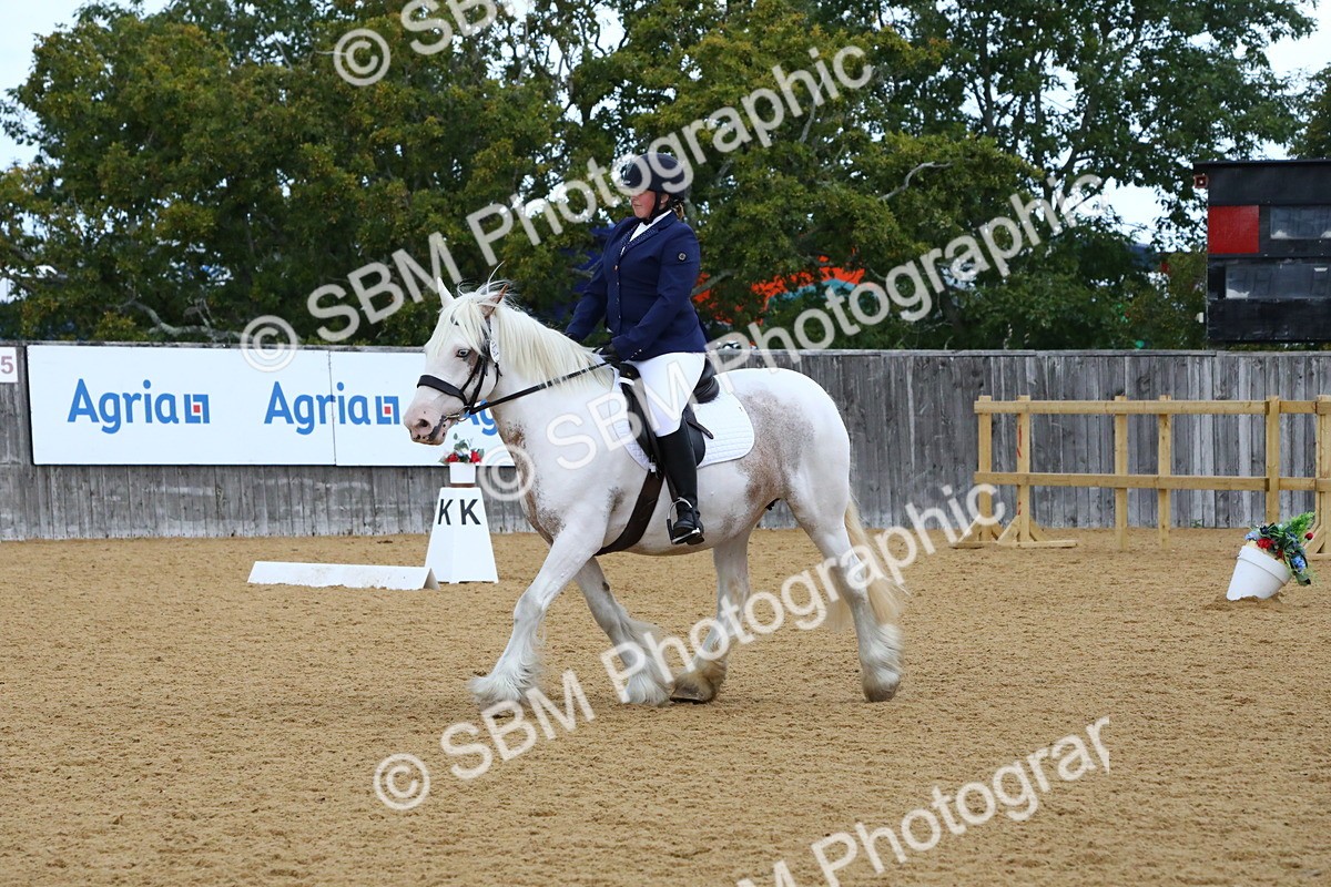 SBM_20867 - D5 - Small Tour Championshop Intro 2