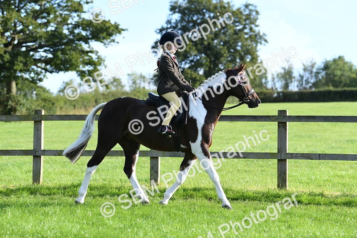 SBM_52372 - S22 - 1st Ridden Show & Show Hunter Pony