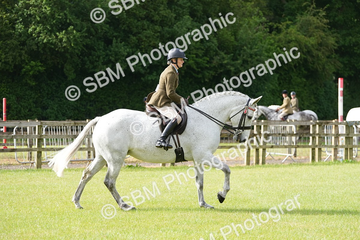 SBM_10584 - Class 97-98 - LIHS BSHA Rising Star Working Show Horse Hunter
