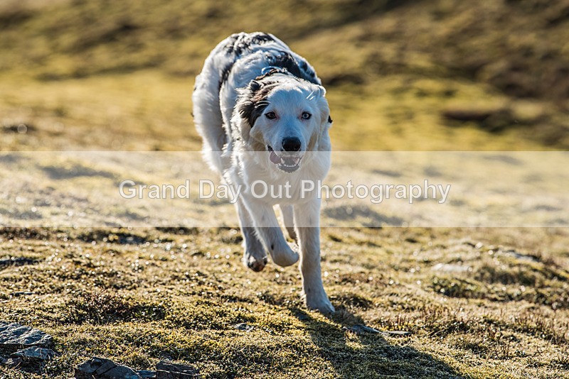 Grisedale-5 - Grisedale Grind Fell Race Wednesday 19th April 2023