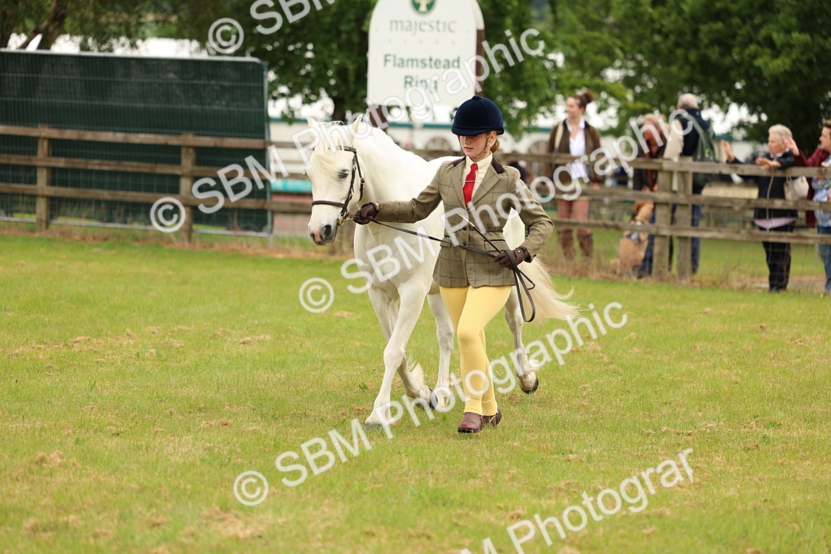 SBM_04212 - Class 64-67 - Shetland Pony In Hand