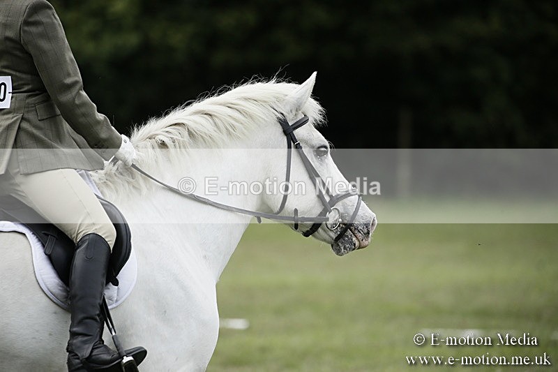 BVR080918 360 - BVRC Novice Dressage & CR 08/09/18