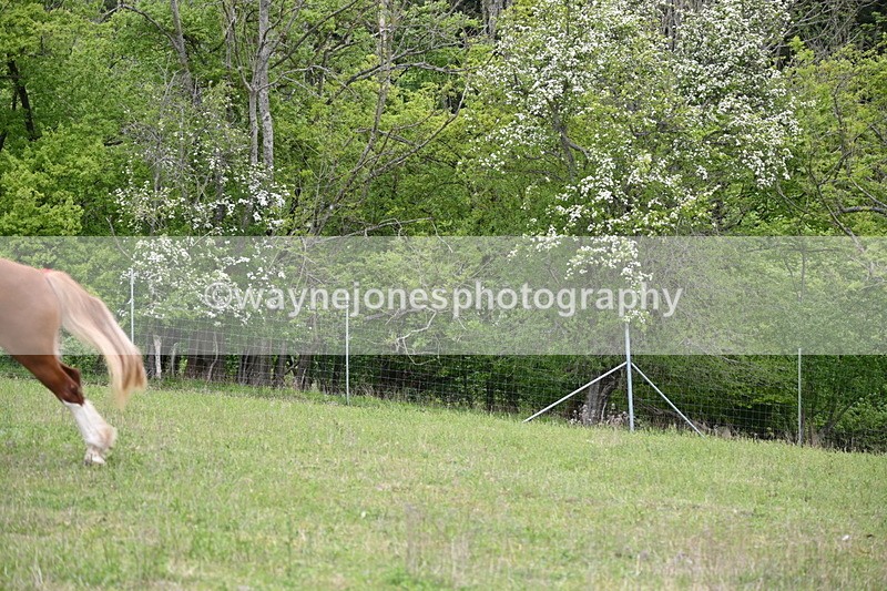 WJ6_2154 - Group 10 A&B Cameras