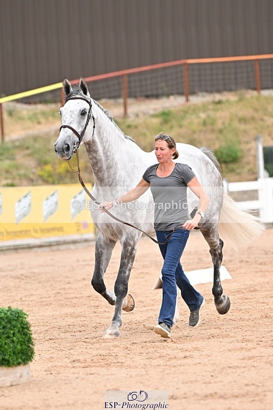 250716-152222-01883 - Trot Up 2.30 to 3.30