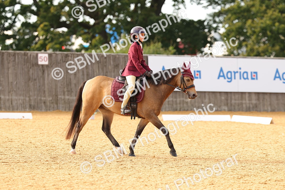 SBM_49800 - D24 - Junior Championship - Prelim 1