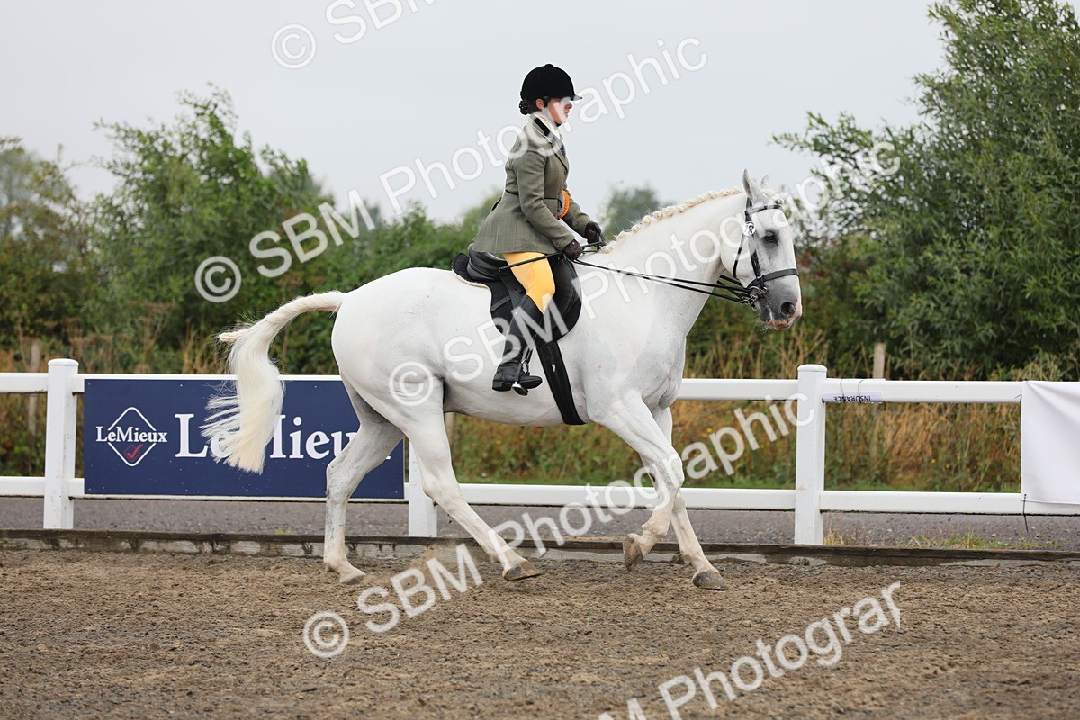 SBM_21431 - Class 805 - Ridden Veteran Horse