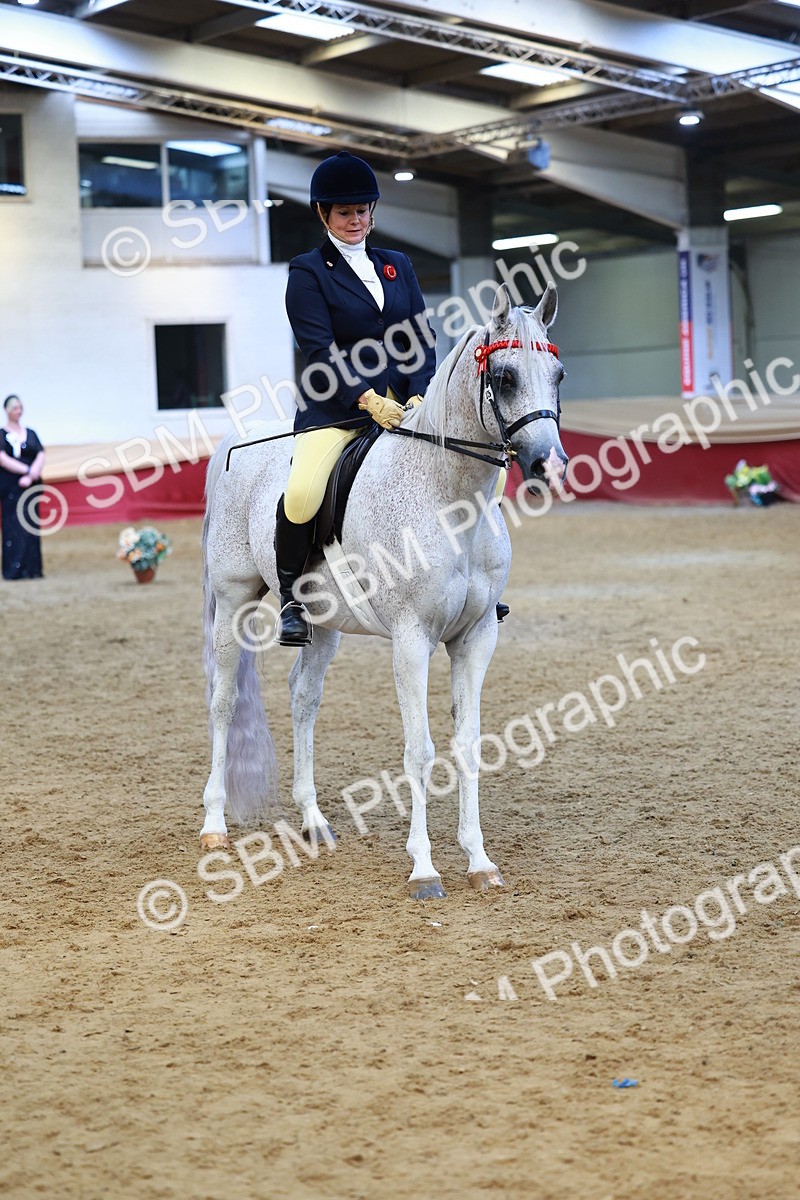SBM_23361 - class 906 - Supreme Final - Ridden Pre Vet