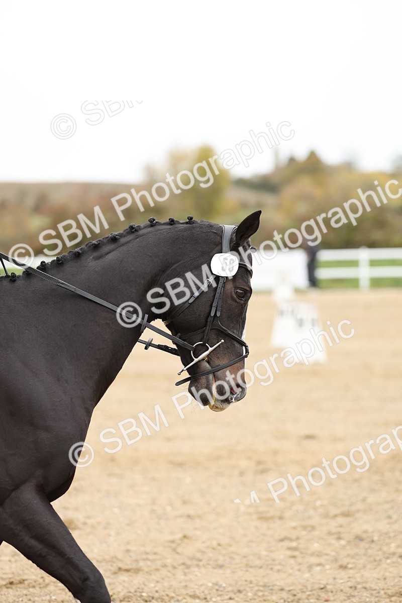 SBM_003074 - Class 8 - Novice 1