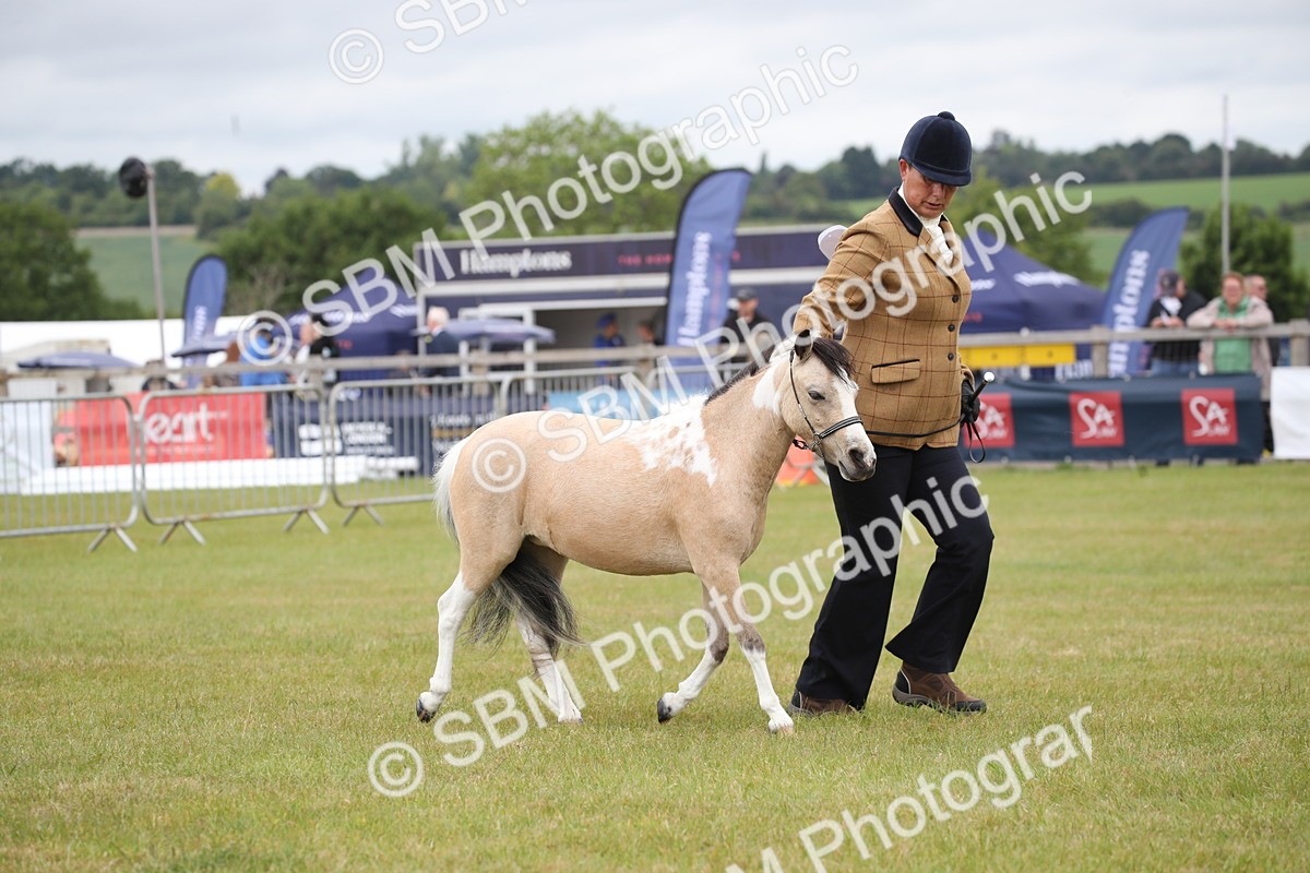 SBM_04003 - Class 23-25 - British Miniature Horse of the Year