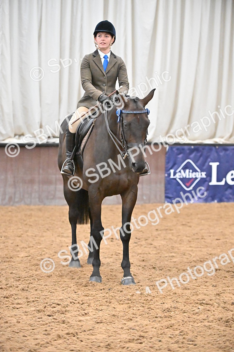 SBM_002363 - Class 22 - BSHA Ridden Hack & Riding Horse