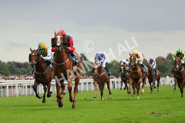 yr04092022r5-31 - Race 5 4.05pm Little Green Rascals Children's Nurseries Stakes
