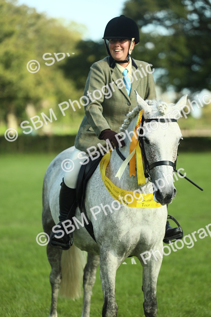 SBM_49923 - S32 - Novice & Newcomers Working Hunter