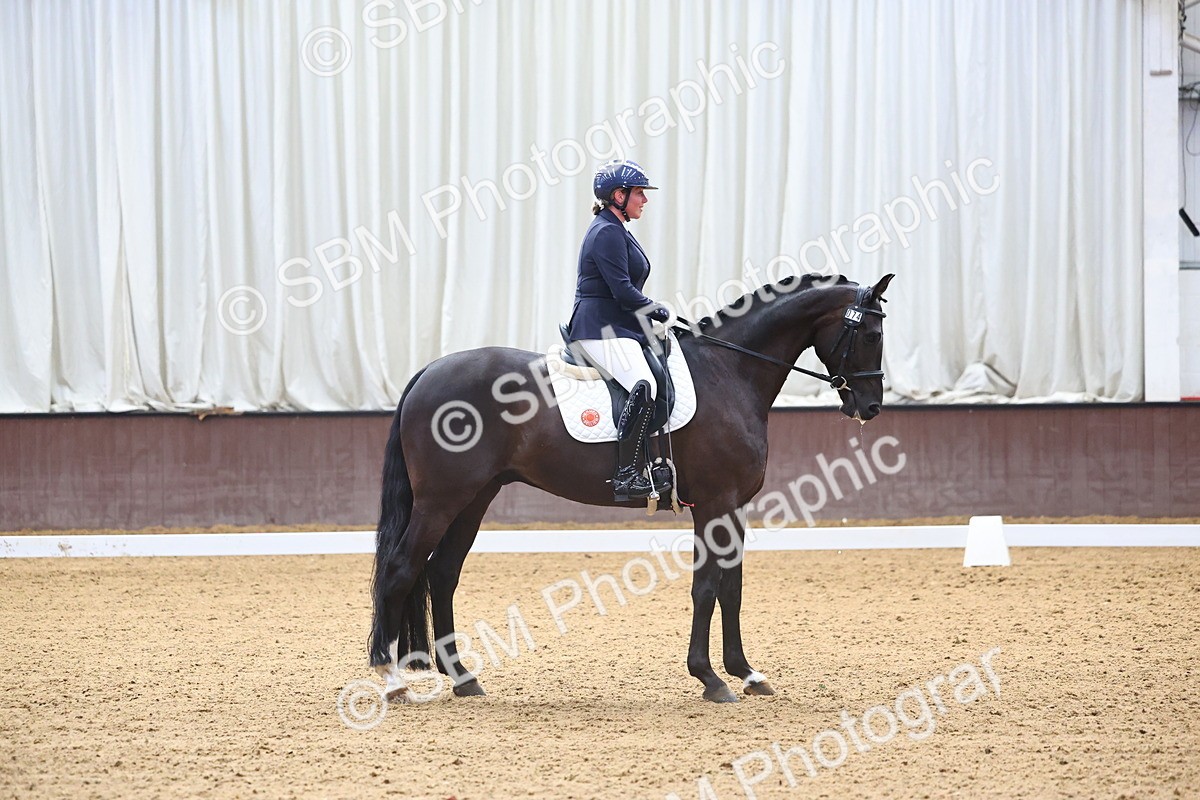 SBM_021419 - Class 11 - P5