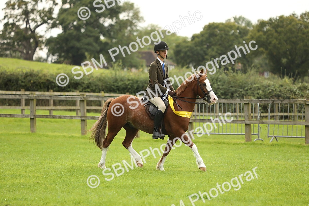 SBM_75432 - Equitation Supreme Championship