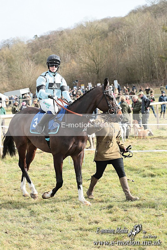 PtP 220225 484 - Kimblewick Point-to-Point  Kingston Blount 22/02/25