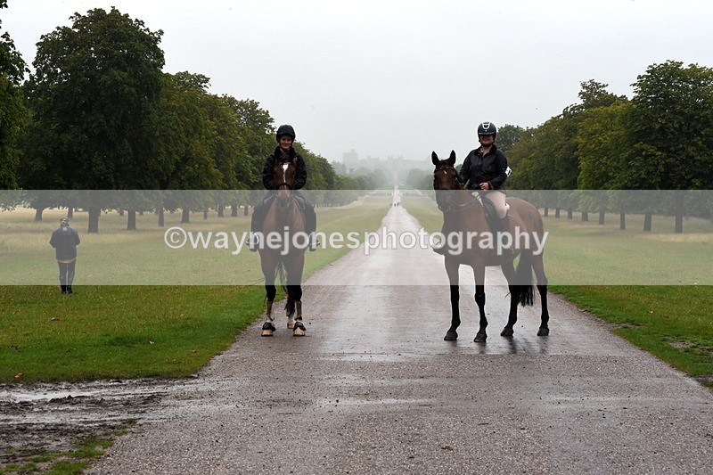 TT3_8377 - Time at Crossing 10:16 to 11:38