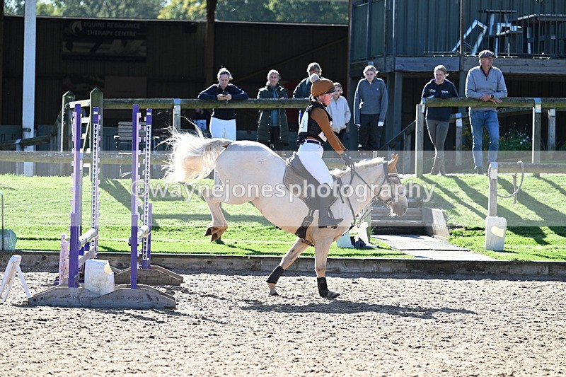 WJ7_1356 - Time 10:39 to 11:18