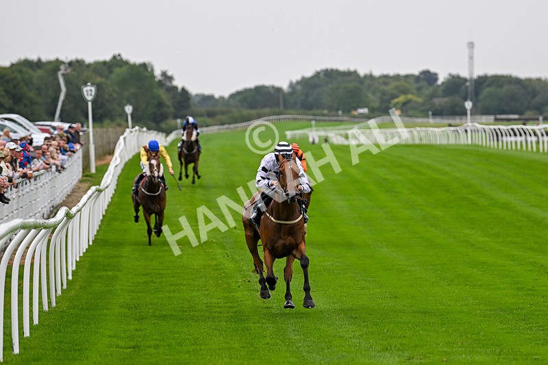 280824-Race 2-Flight Radar-4062 - Race 2