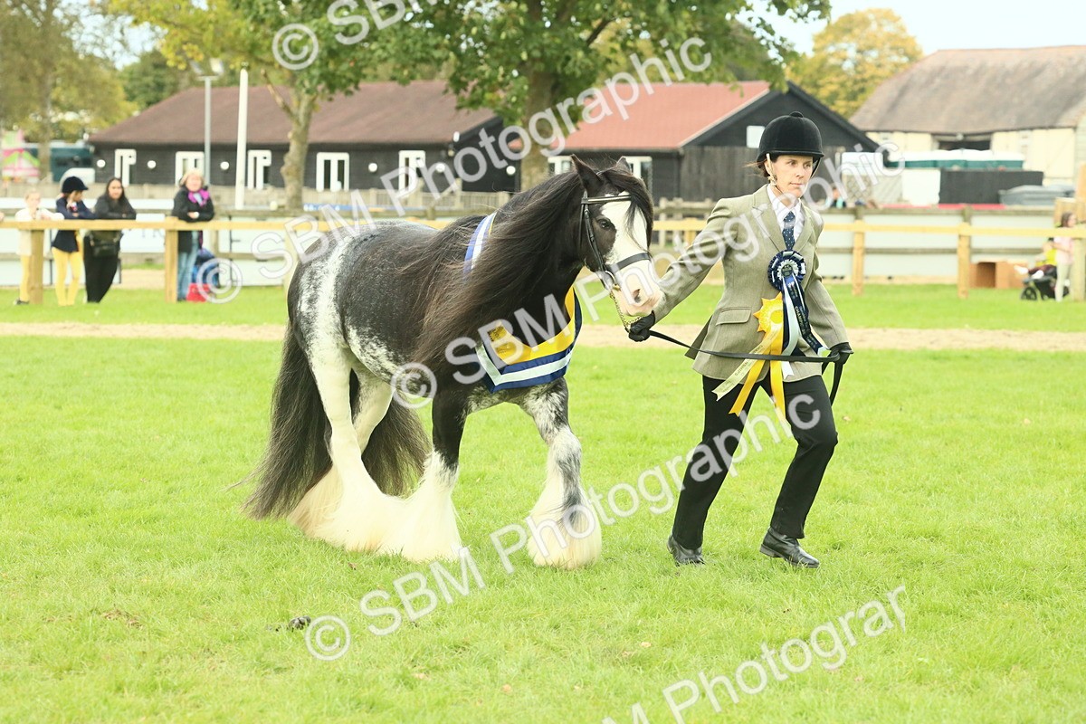 SBM_75194 - Super Supreme Championship