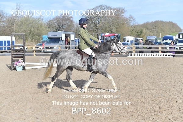 BPP_8602 - TRAINING STAKES