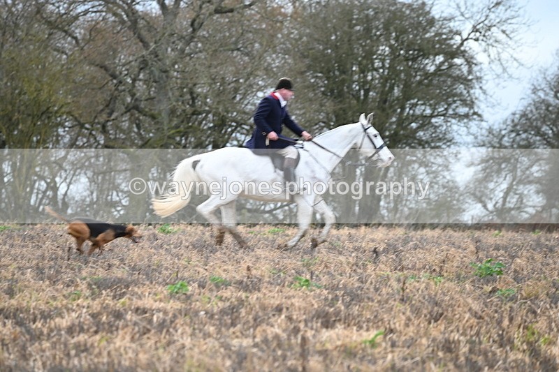 WJ6_9478 - Line Four