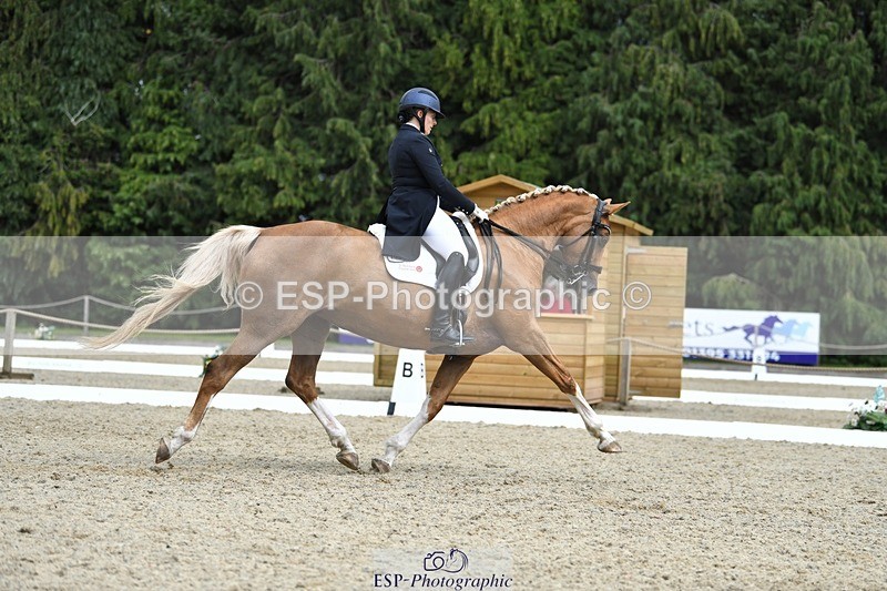 230812-144041-04770 - Cls 7 FEI PSG Bronze