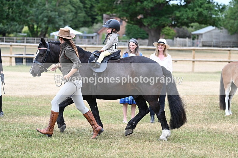 WJ7_9828 - Class 1 Lead Rein Pony