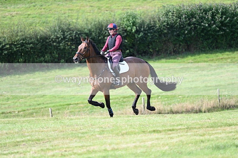 WJ7_5955 - Time 10:52 to 11:10