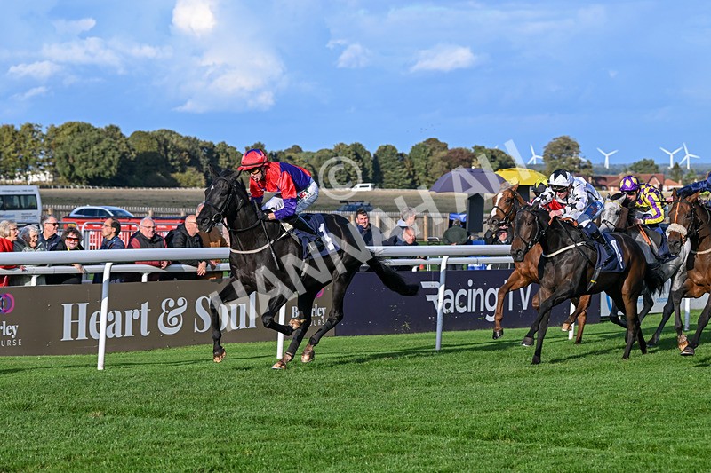 240924-Race 7-It Just Takes Time-6927 - Race 7