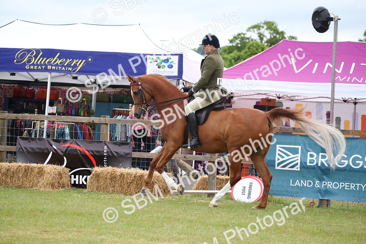 SBM_03636 - Class 21 - 22 - Ridden Arab and Part Bred/Anglo Arab
