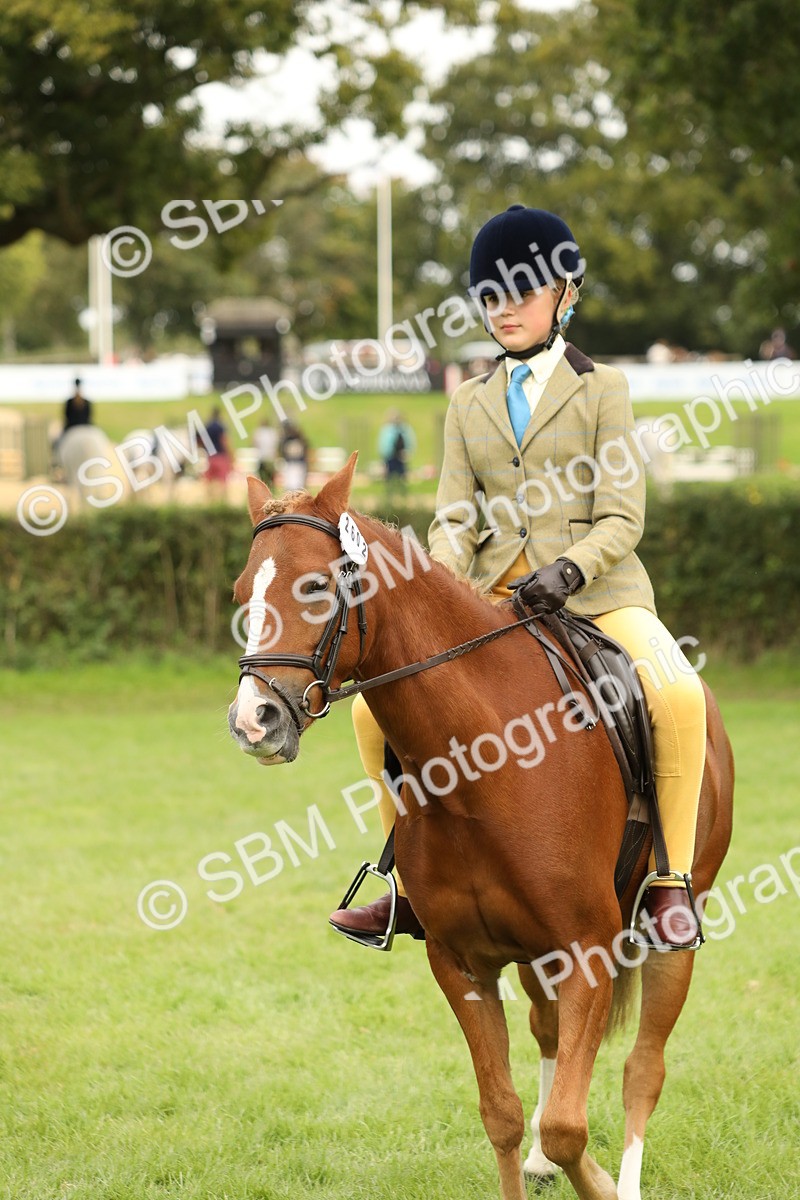 SBM_71637 - S41 - Ridden Equitation (Best Rider)