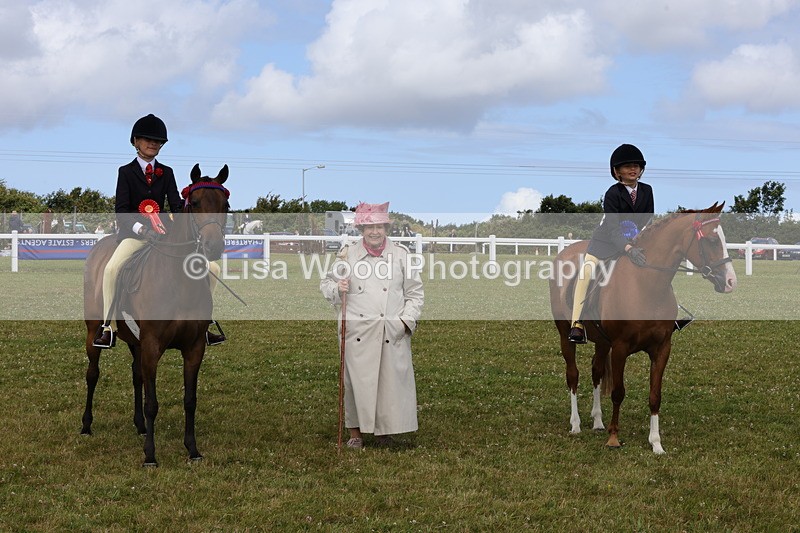 1X9A3931 - Class 31: Show Pony 148cm and under