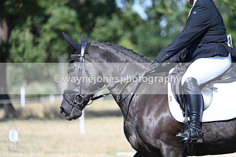 WJ7_0526 - Time 12:03 to 12:23