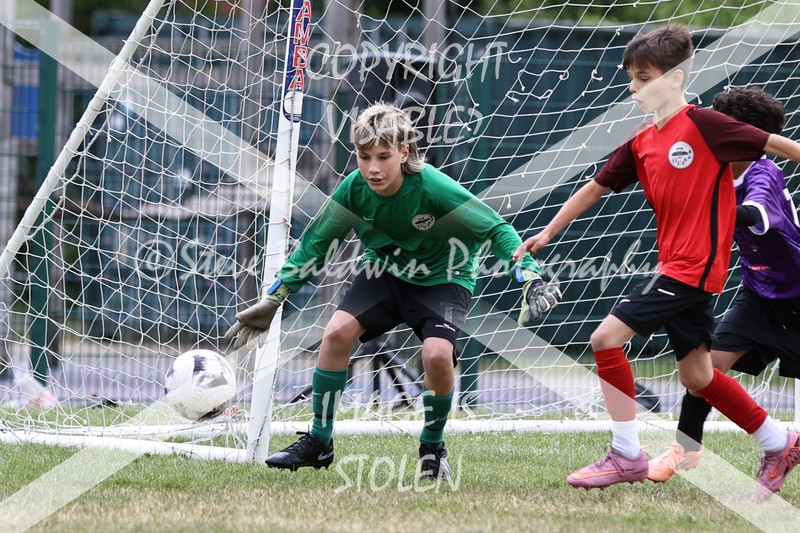 1DX30933 - Brook Field V Goddard Park