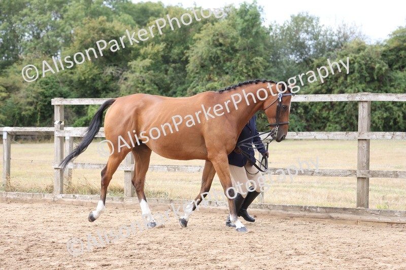 20260831-1909 - Class 5 - Retraining of Racehorses