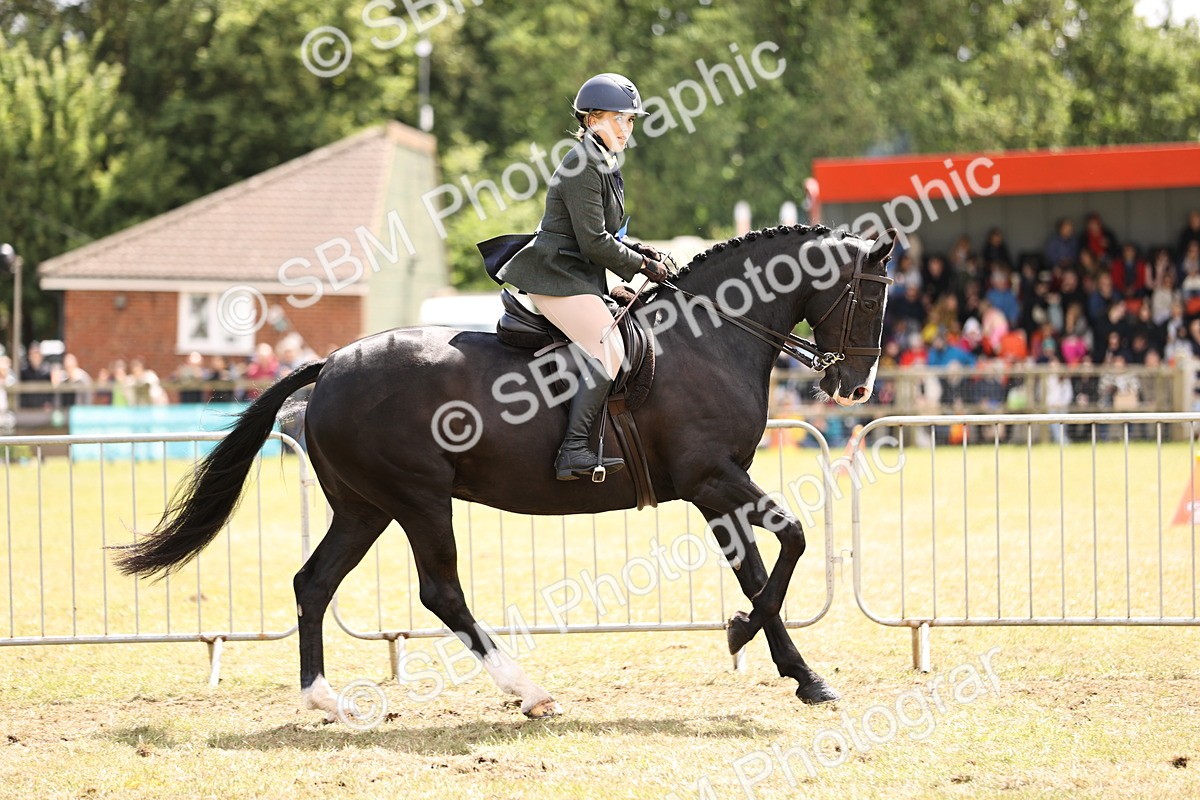 SBM_14788 - Class 88-89 - LIHS BSHA Rising Star of Ridden Hunter Type