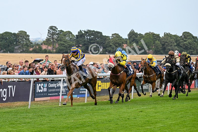 280726-Race 6-Azuinthejungle-1702 - Race 6 16.30pm It's Ladies Day Next On 12 August Handicap
