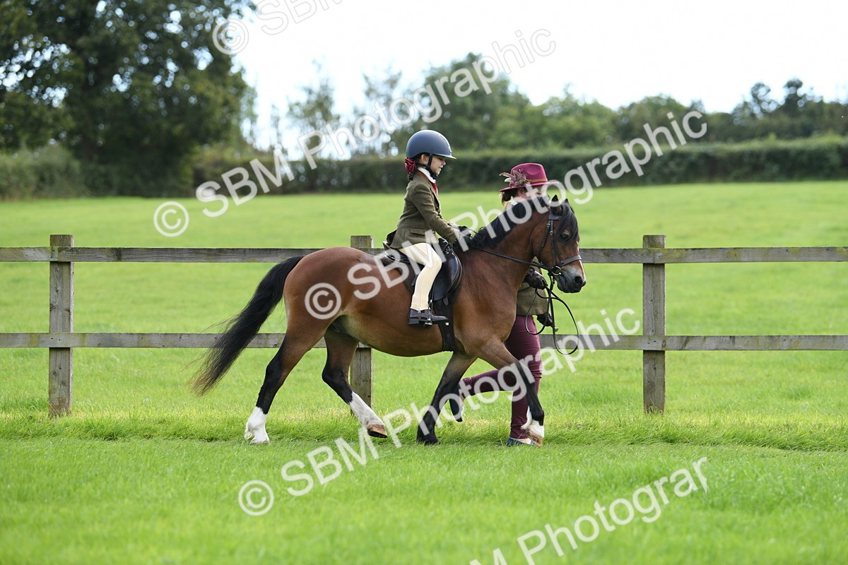 SBM_42430 - S20 - Lead Rein Mountain & Moorland Pony