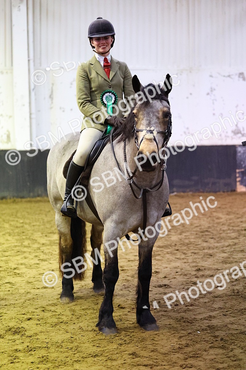 SBM_006669 - Class 43 - RIHS Qualifier Exceeding 43cms