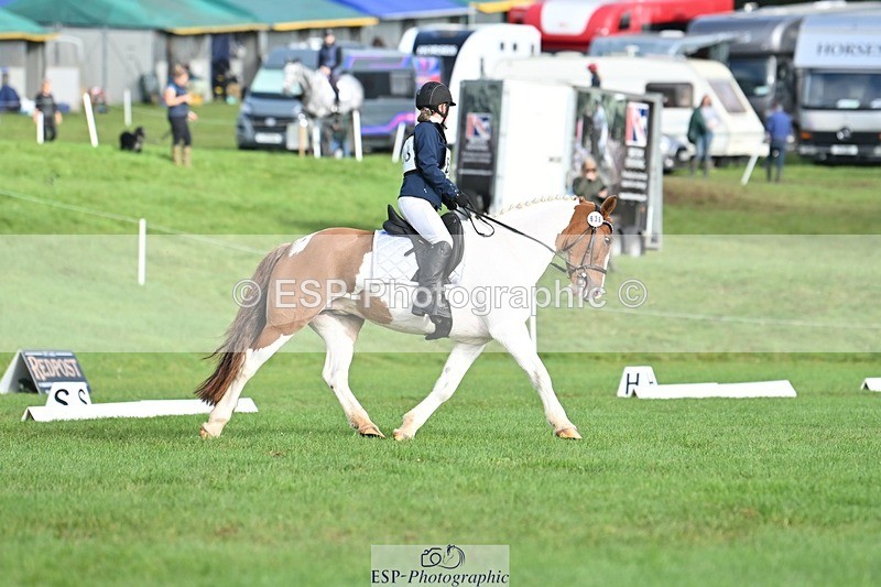 231020-102819-07629 - 638-I.FOUND.NEMO-Jacky.Jones-DR