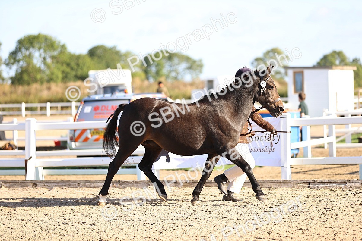 SBM_08468