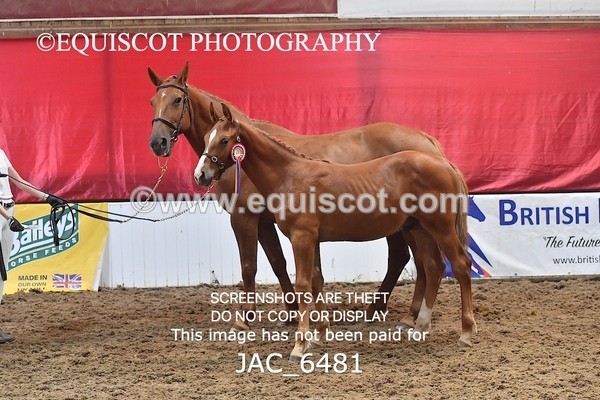 JAC_6481 - 19 Luca