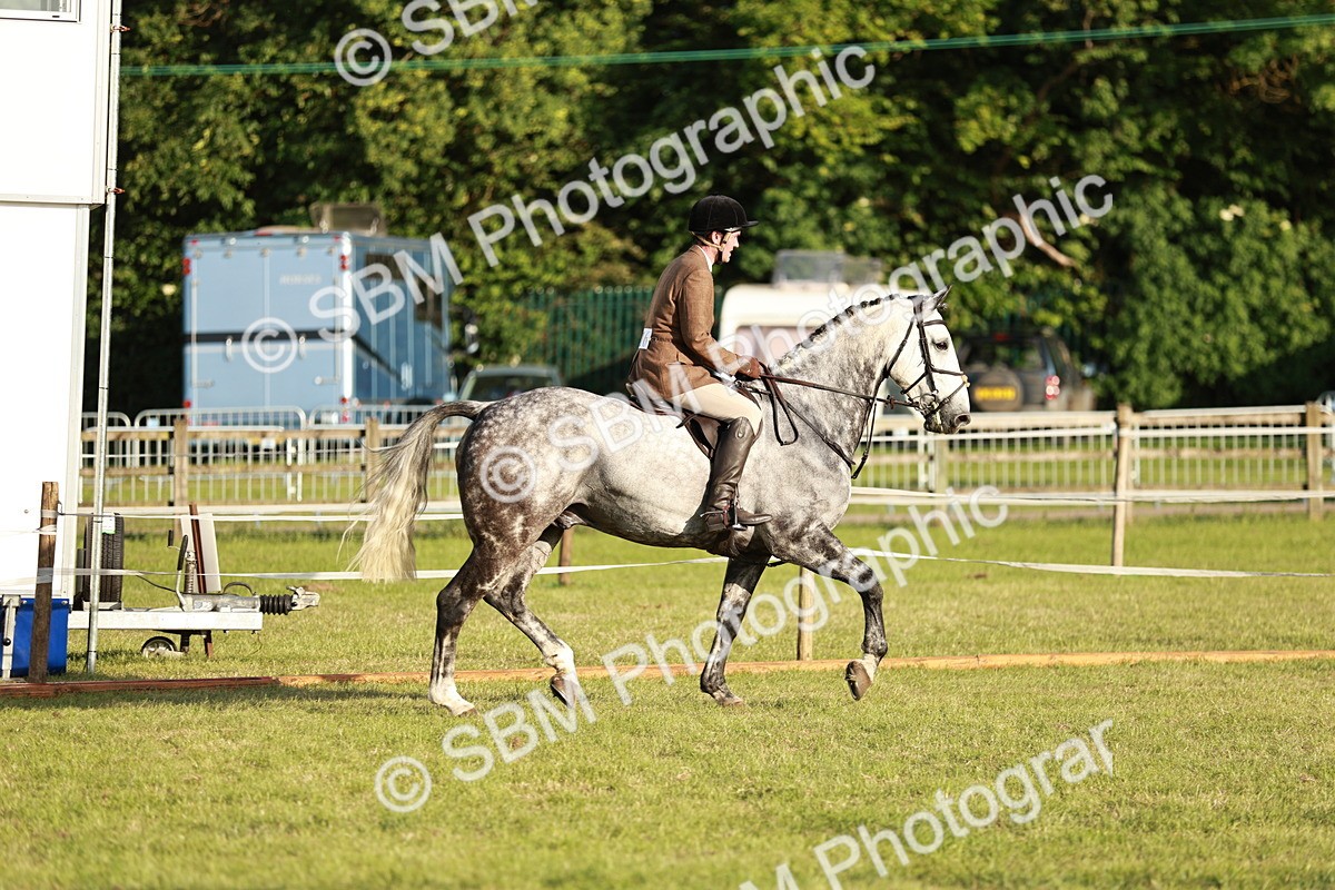 SBM_20430 - Class 117-119 - Sport Horse Working Hunter